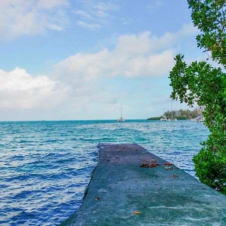 Boutique Villa On The Rocks With Stunning Sea Views, Infinity Pool & Private Sea ทรู โดว์ ดูซ ภายนอก รูปภาพ