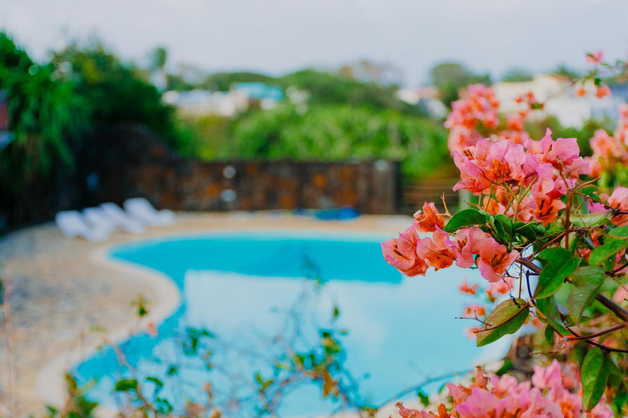 Boutique Villa On The Rocks With Stunning Sea Views, Infinity Pool & Private Sea ทรู โดว์ ดูซ ภายนอก รูปภาพ